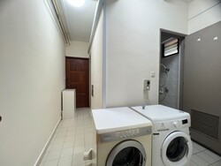 Simsville (D14), Condominium #481309781